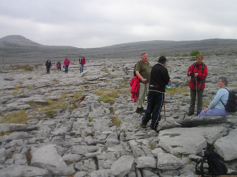 Burren guided walks and hikes